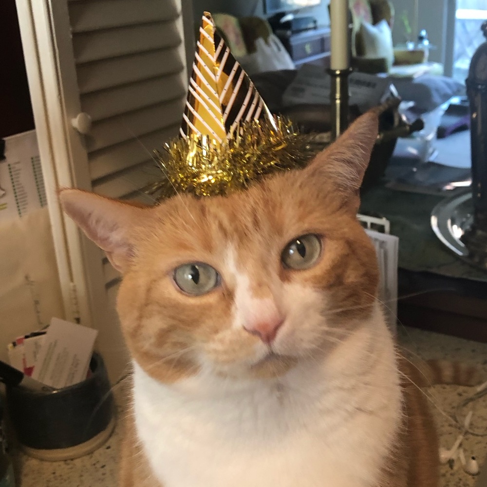 Meet your Posher, Caroline!